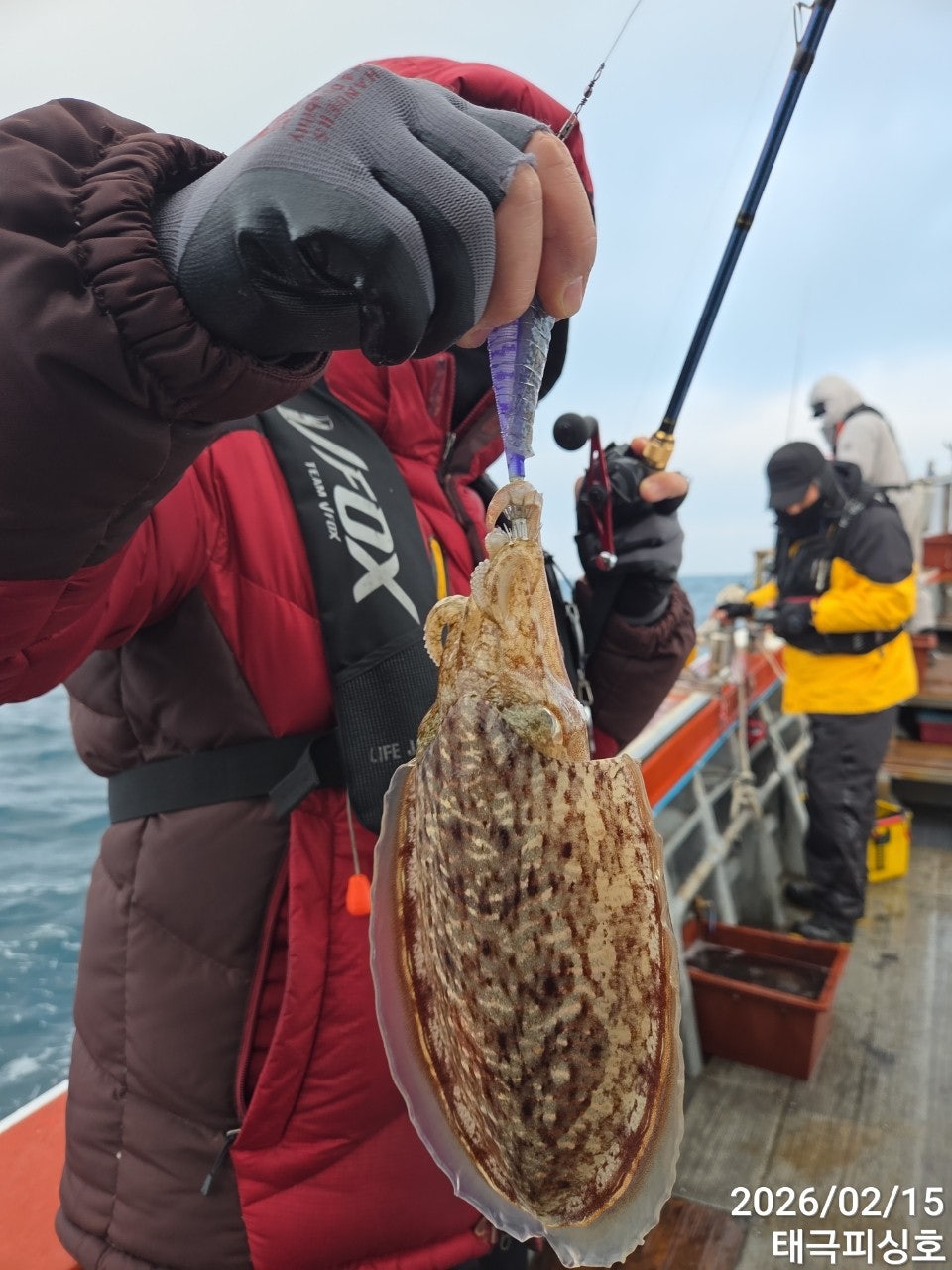 사용자가 올린 이미지