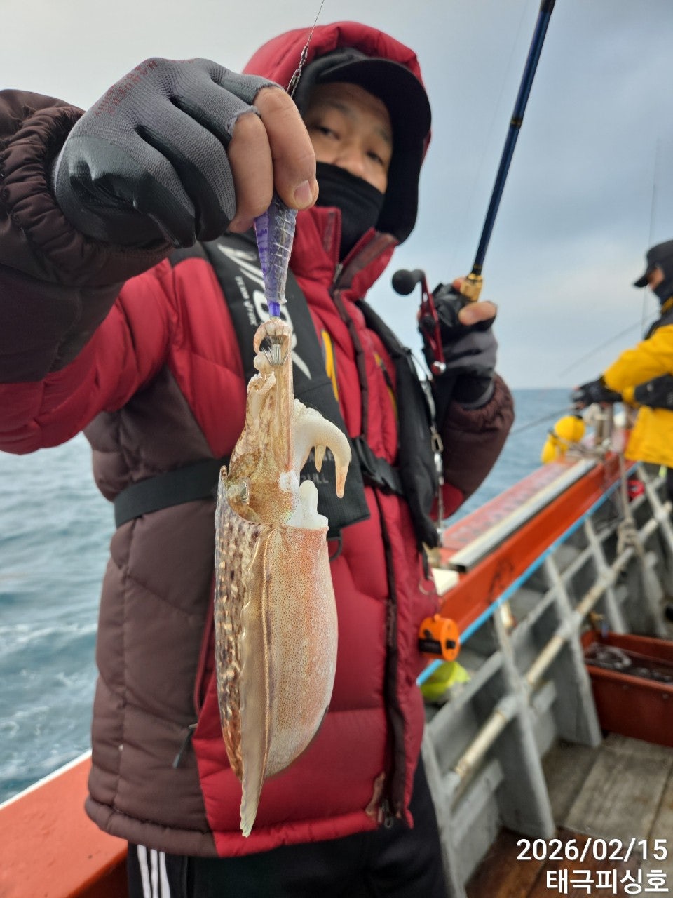 사용자가 올린 이미지