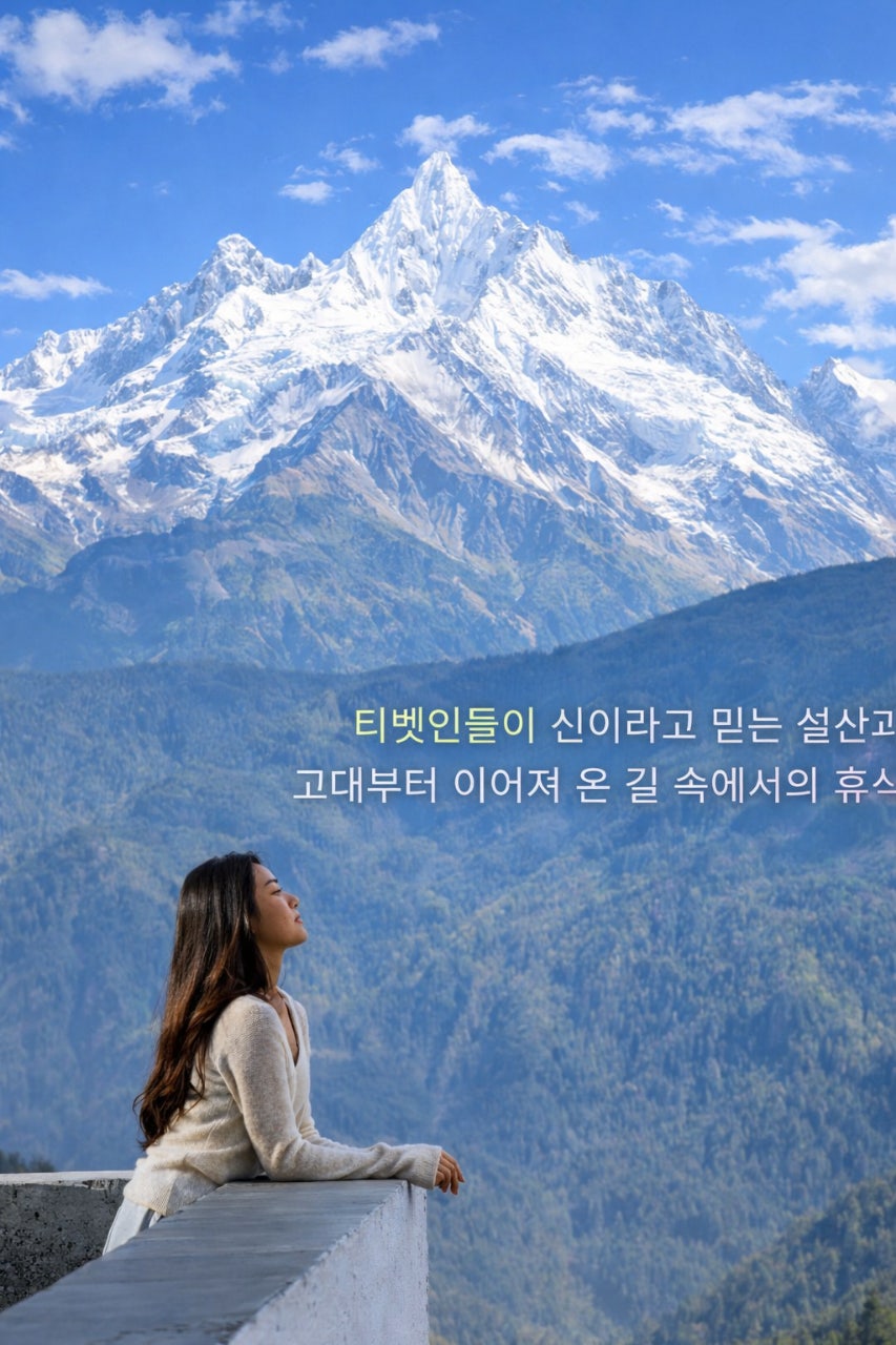 사용자가 올린 이미지