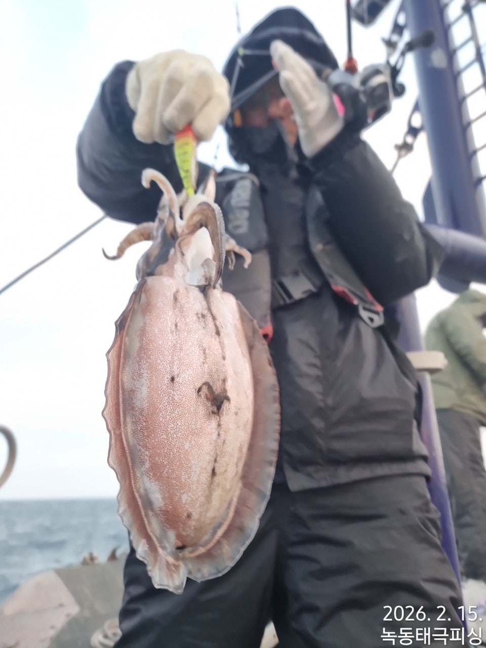 사용자가 올린 이미지