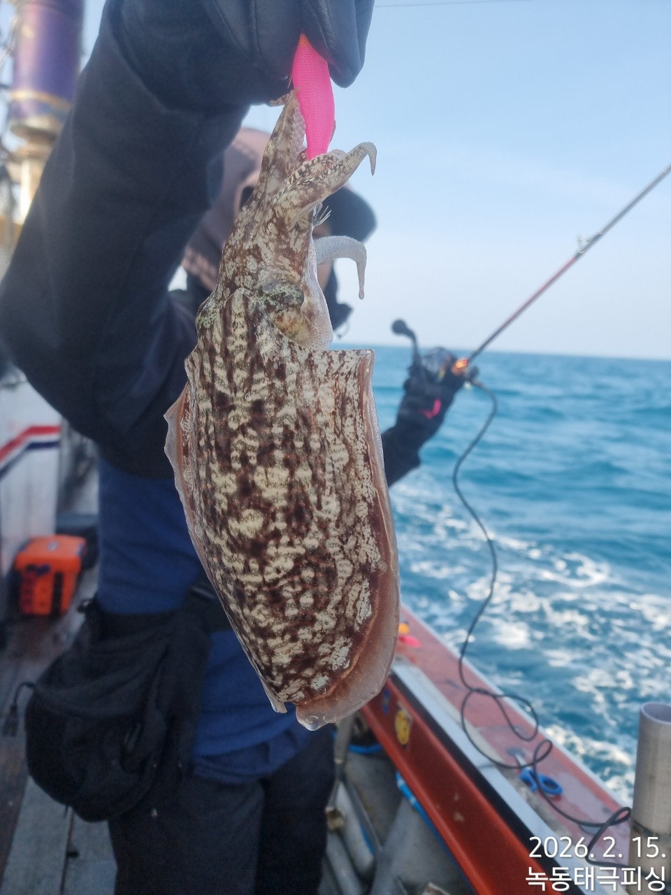 사용자가 올린 이미지