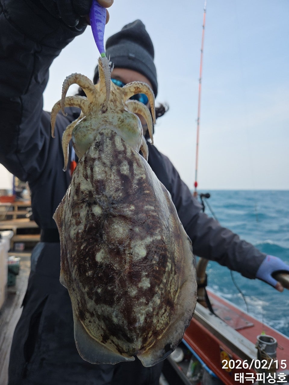 사용자가 올린 이미지