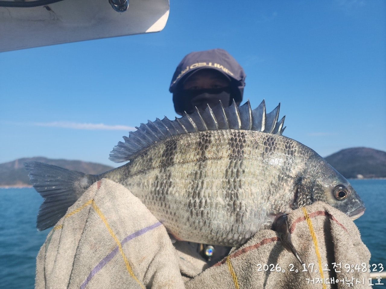 사용자가 올린 이미지