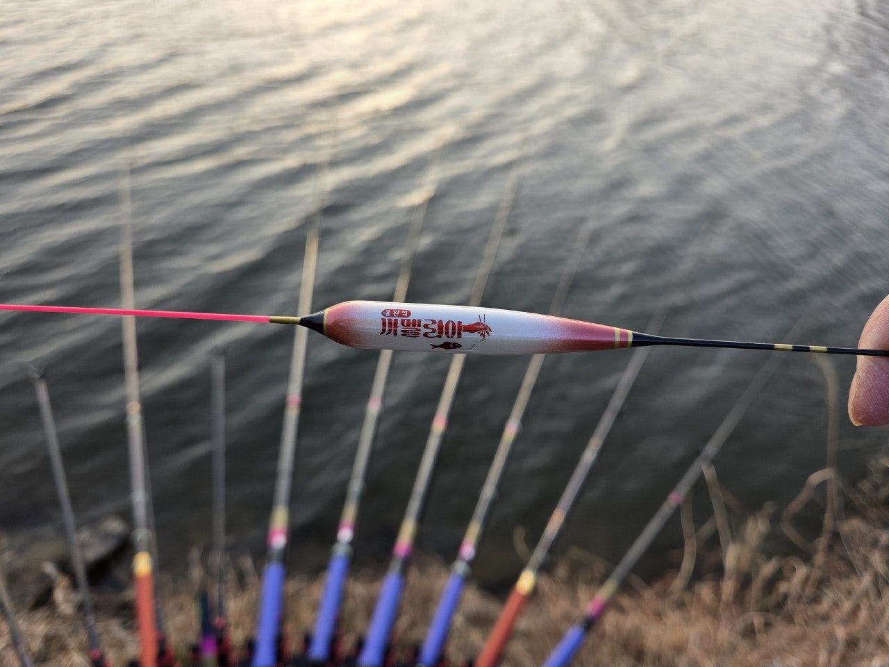 사용자가 올린 이미지