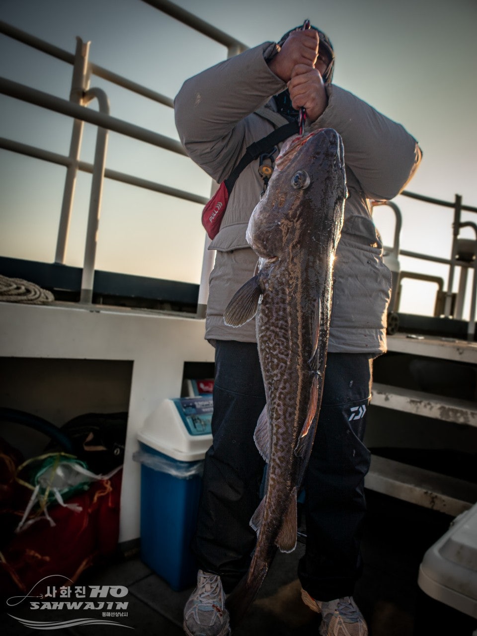 사용자가 올린 이미지