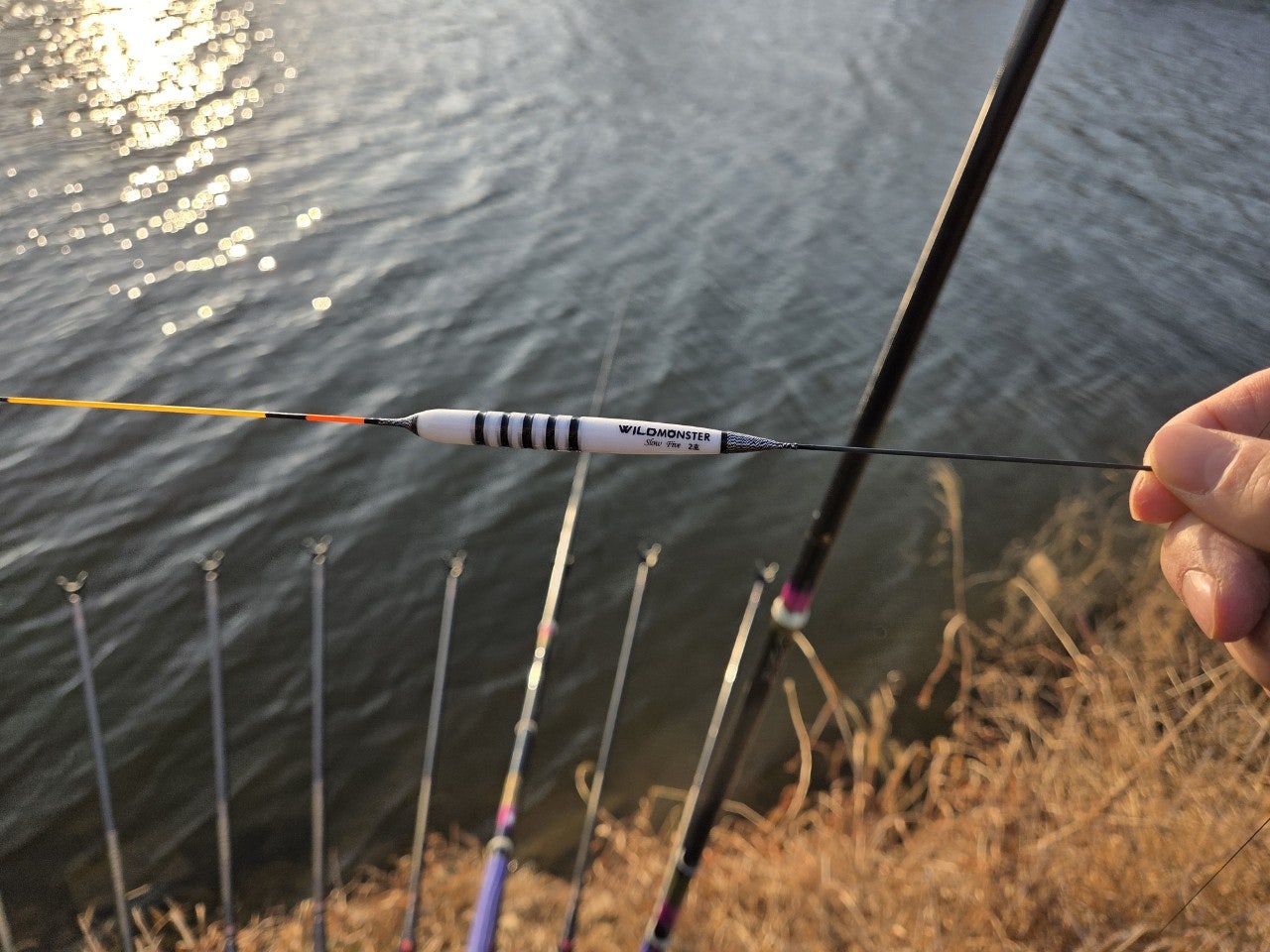 사용자가 올린 이미지