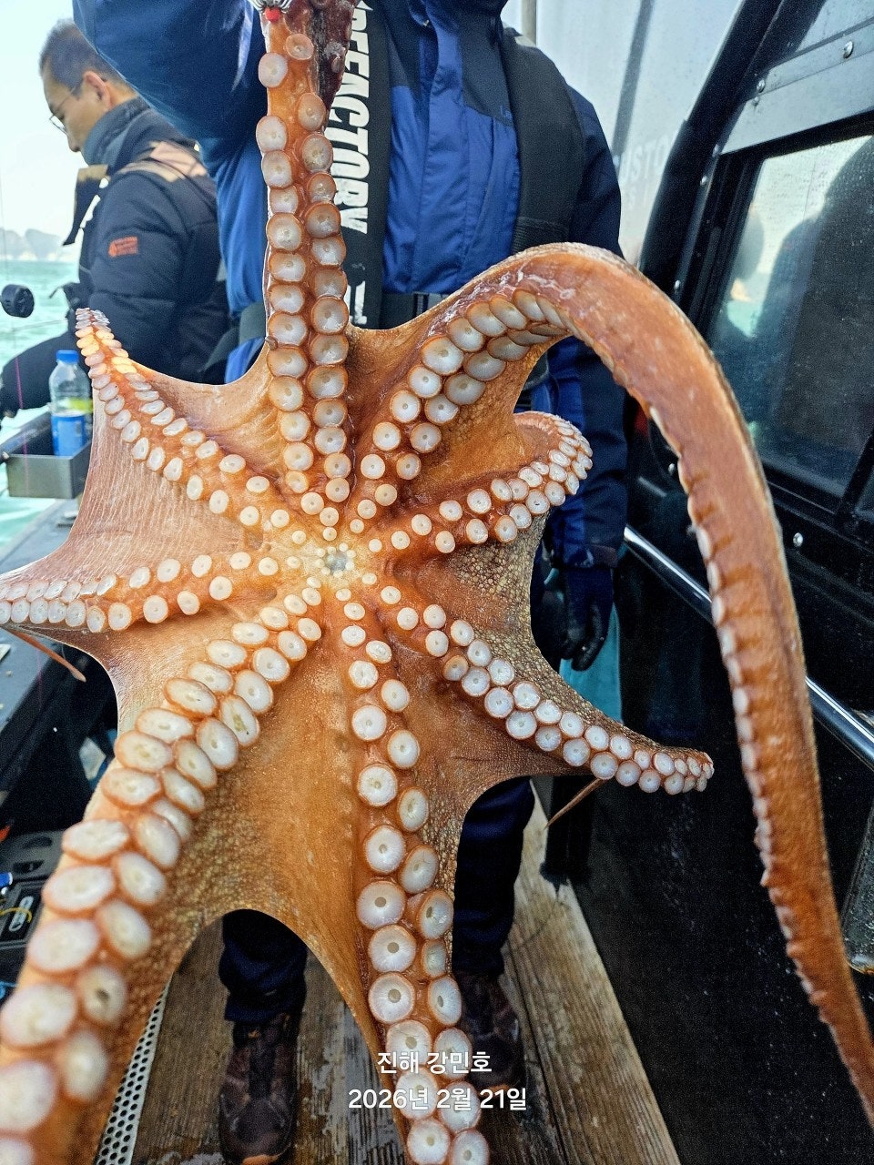 ����ڰ� �ø� �̹���