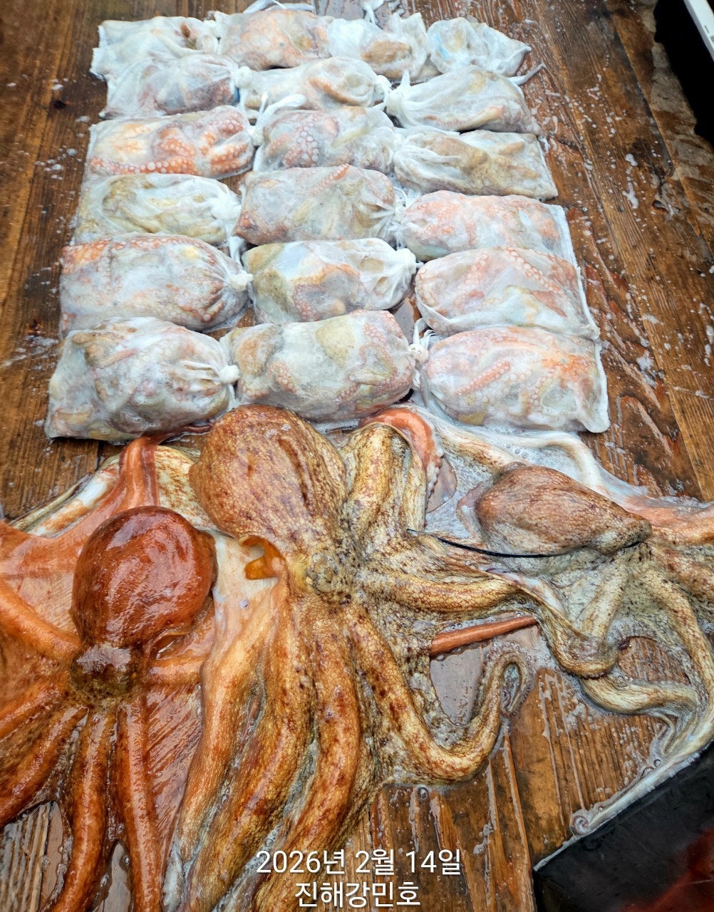 ����ڰ� �ø� �̹���