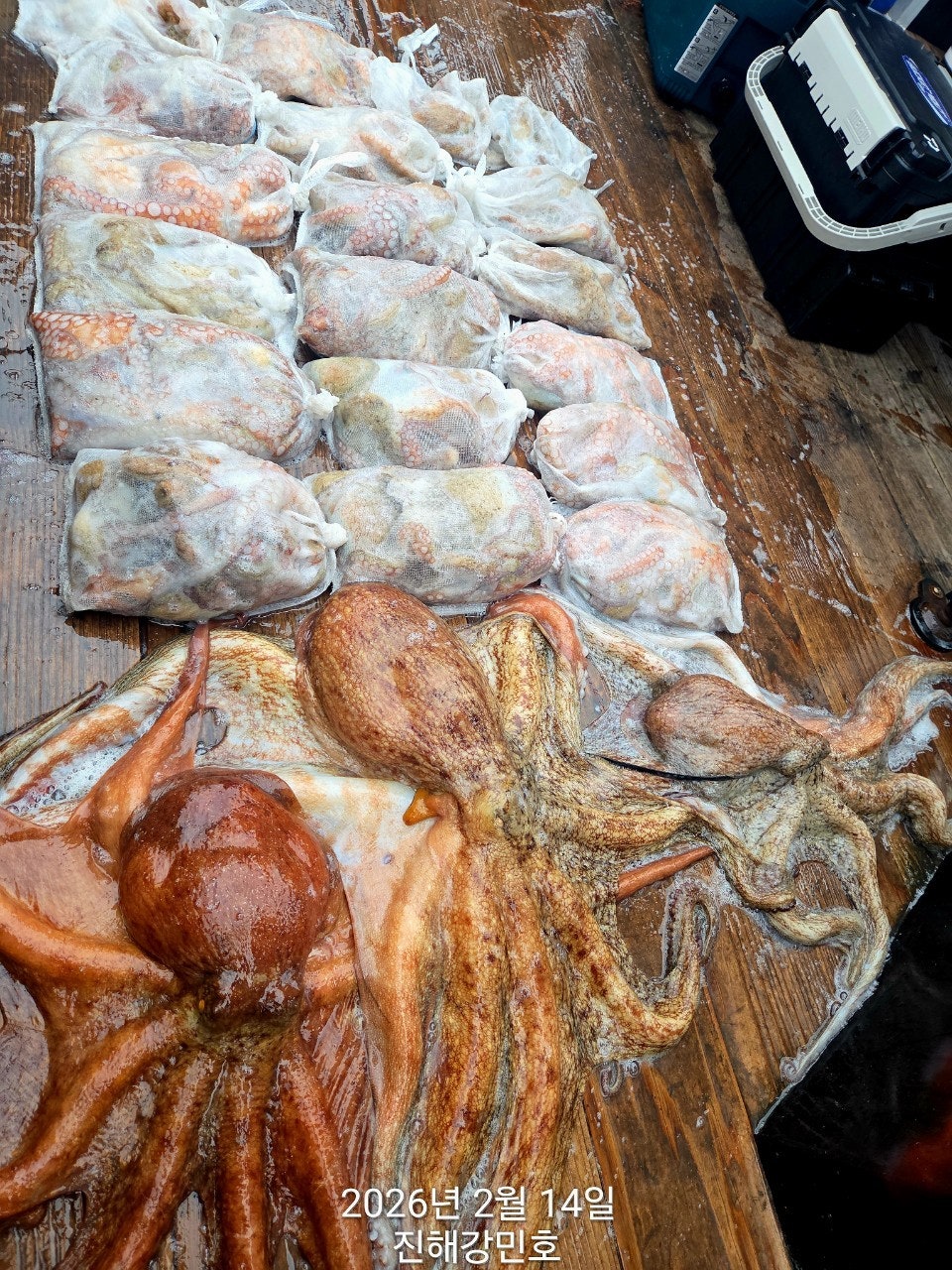 ����ڰ� �ø� �̹���