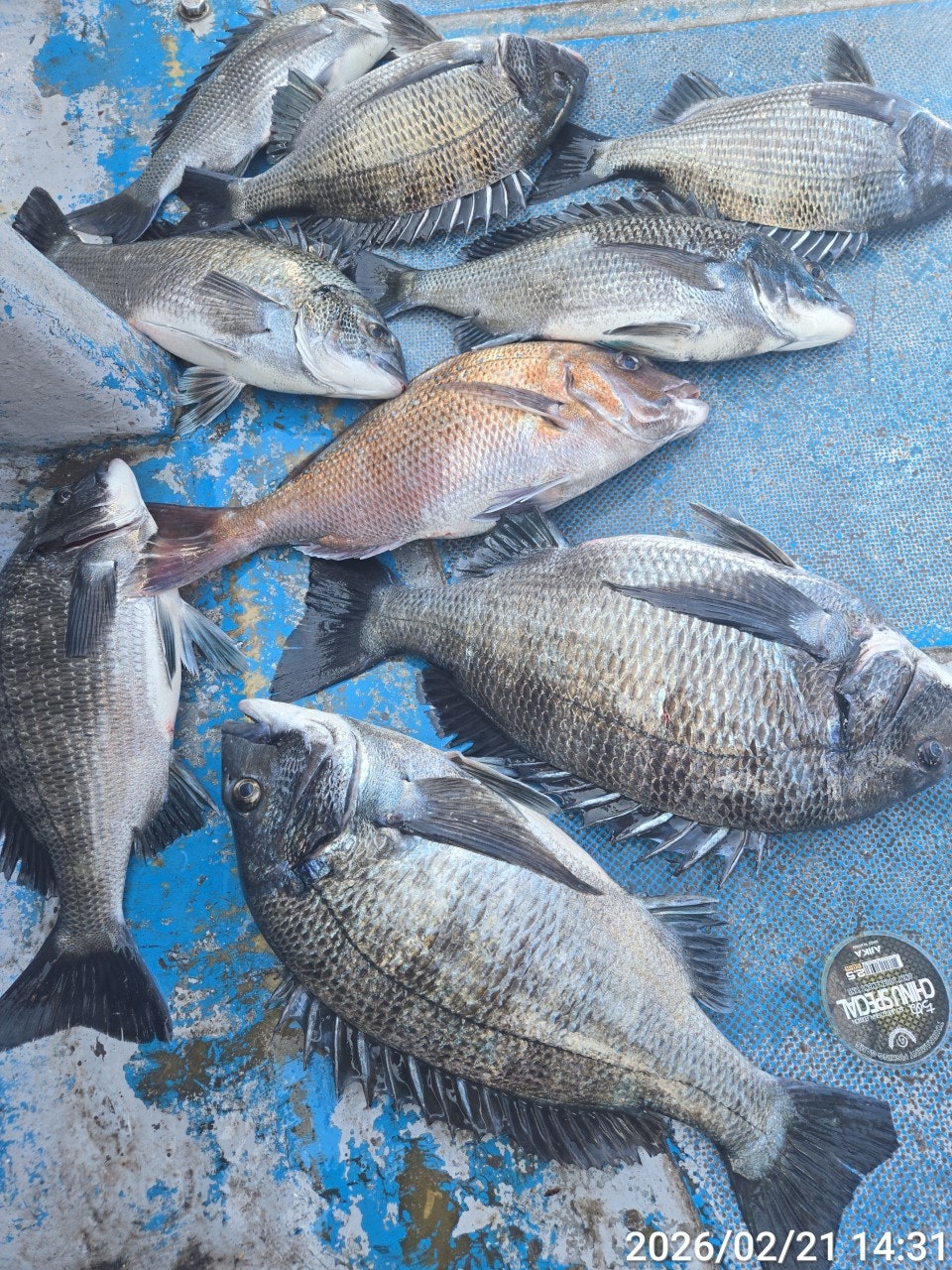 ����ڰ� �ø� �̹���