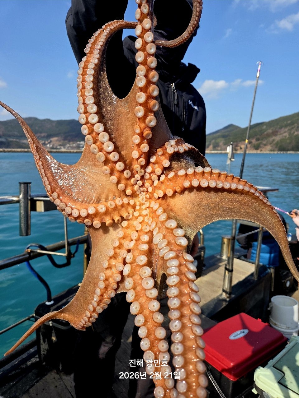 ����ڰ� �ø� �̹���