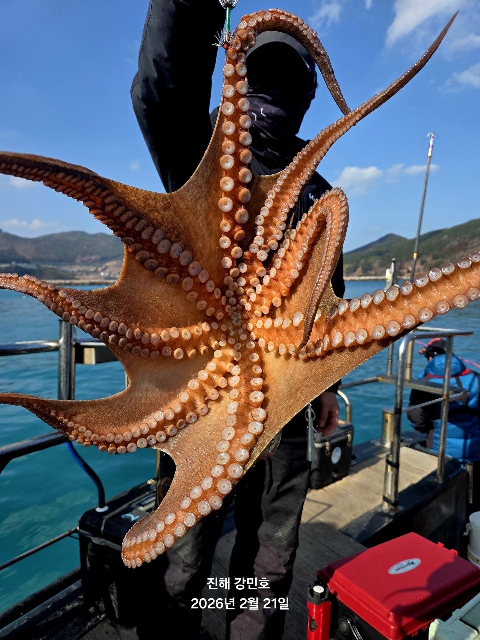 ����ڰ� �ø� �̹���