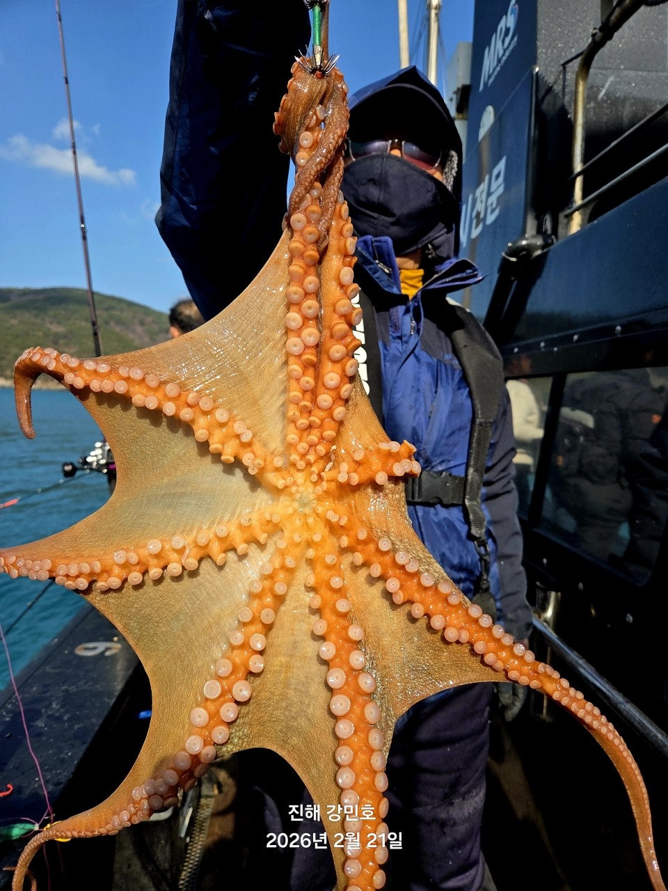 ����ڰ� �ø� �̹���