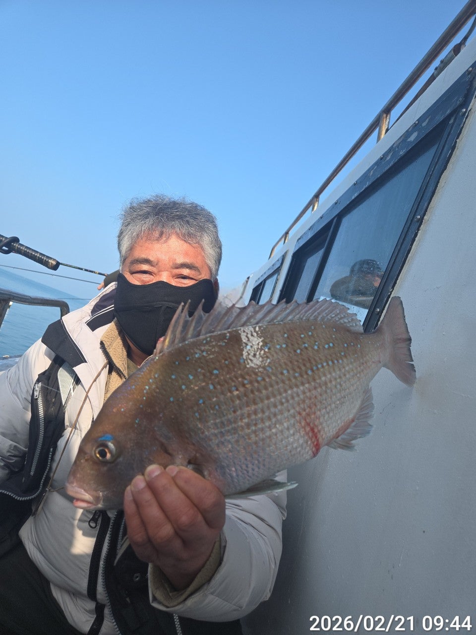 ����ڰ� �ø� �̹���