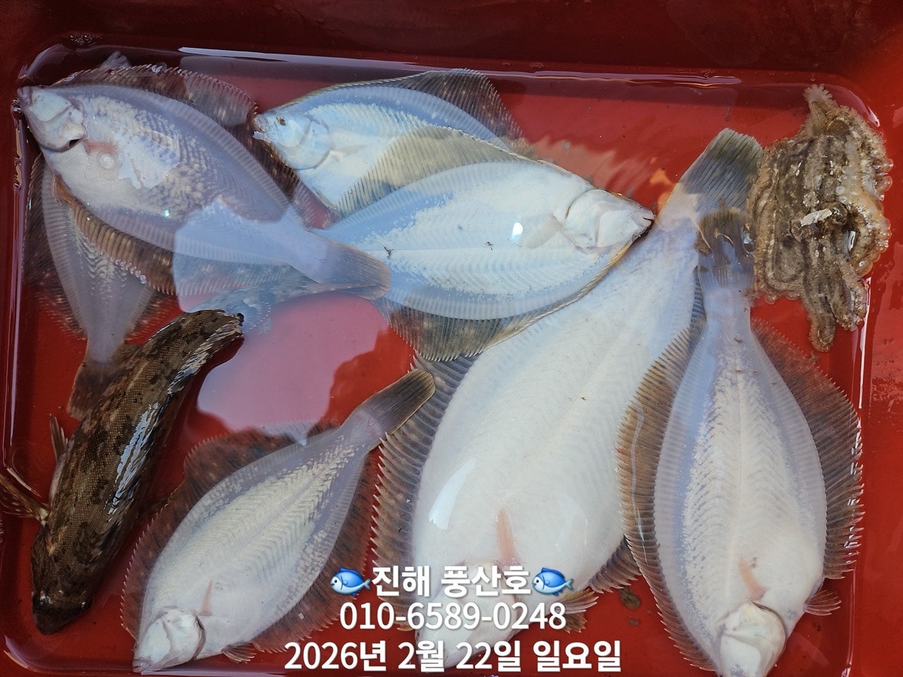 ����ڰ� �ø� �̹���