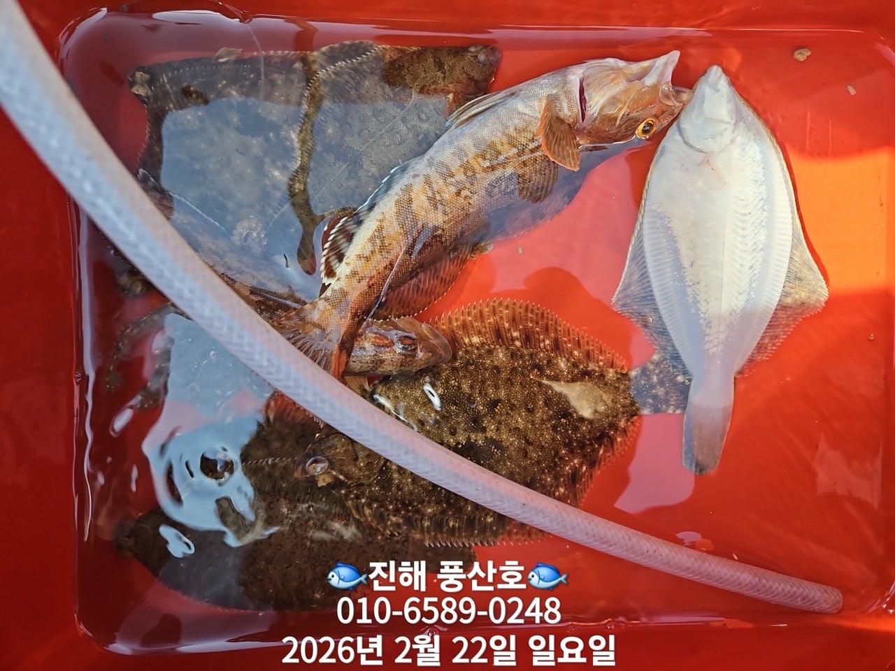 ����ڰ� �ø� �̹���