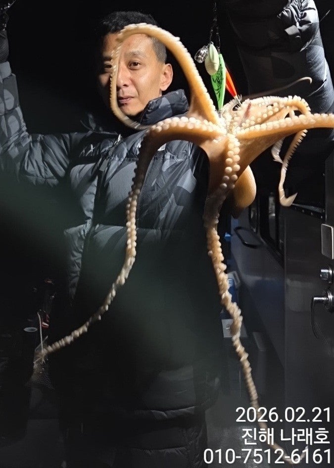 ����ڰ� �ø� �̹���