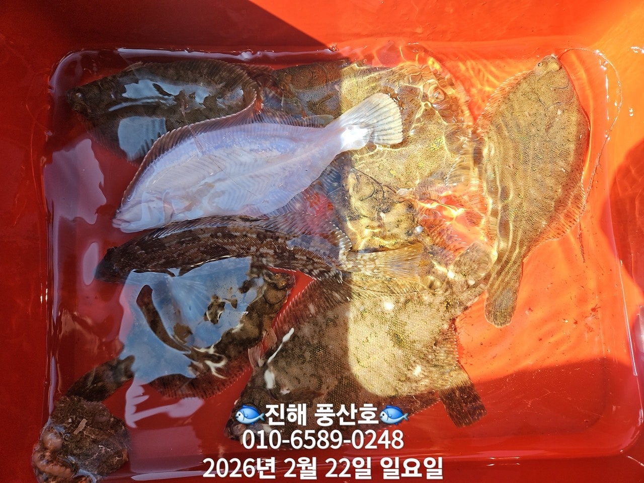 ����ڰ� �ø� �̹���