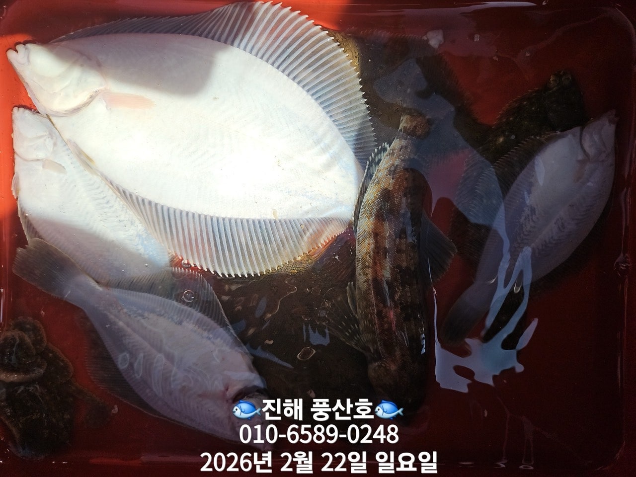 ����ڰ� �ø� �̹���