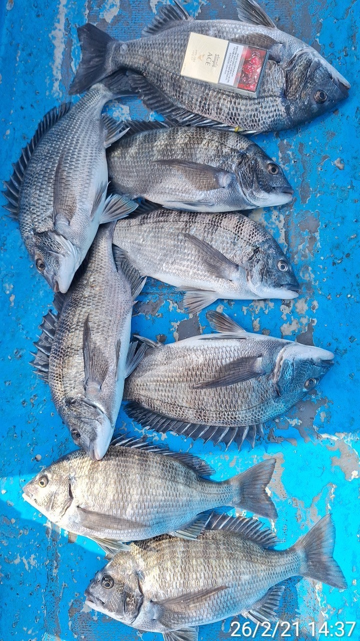 ����ڰ� �ø� �̹���