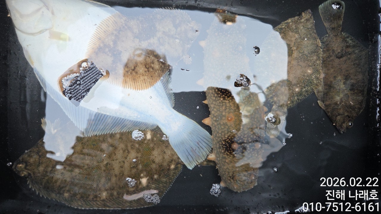 ����ڰ� �ø� �̹���