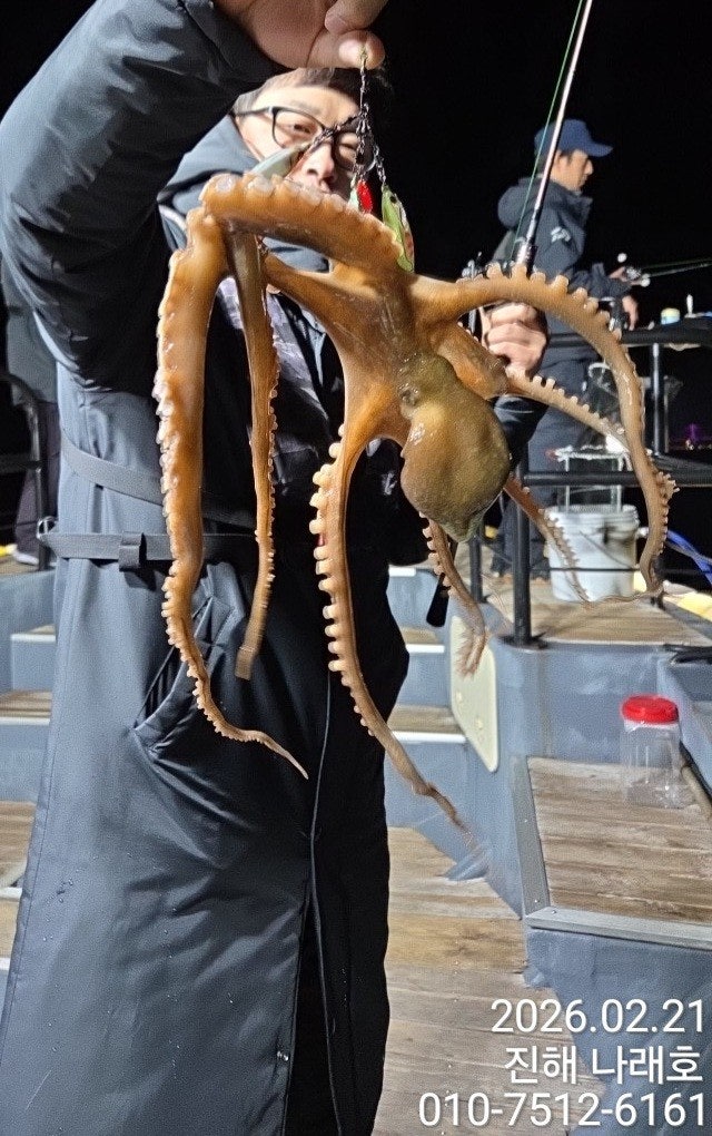 ����ڰ� �ø� �̹���