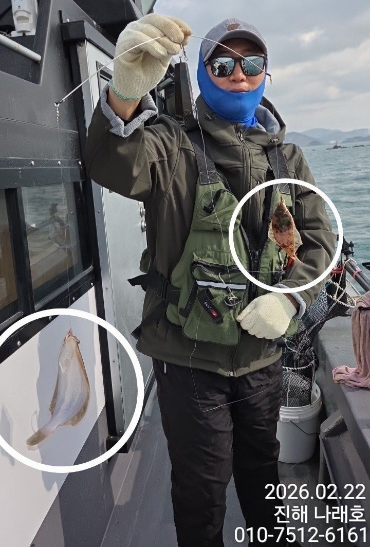 ����ڰ� �ø� �̹���