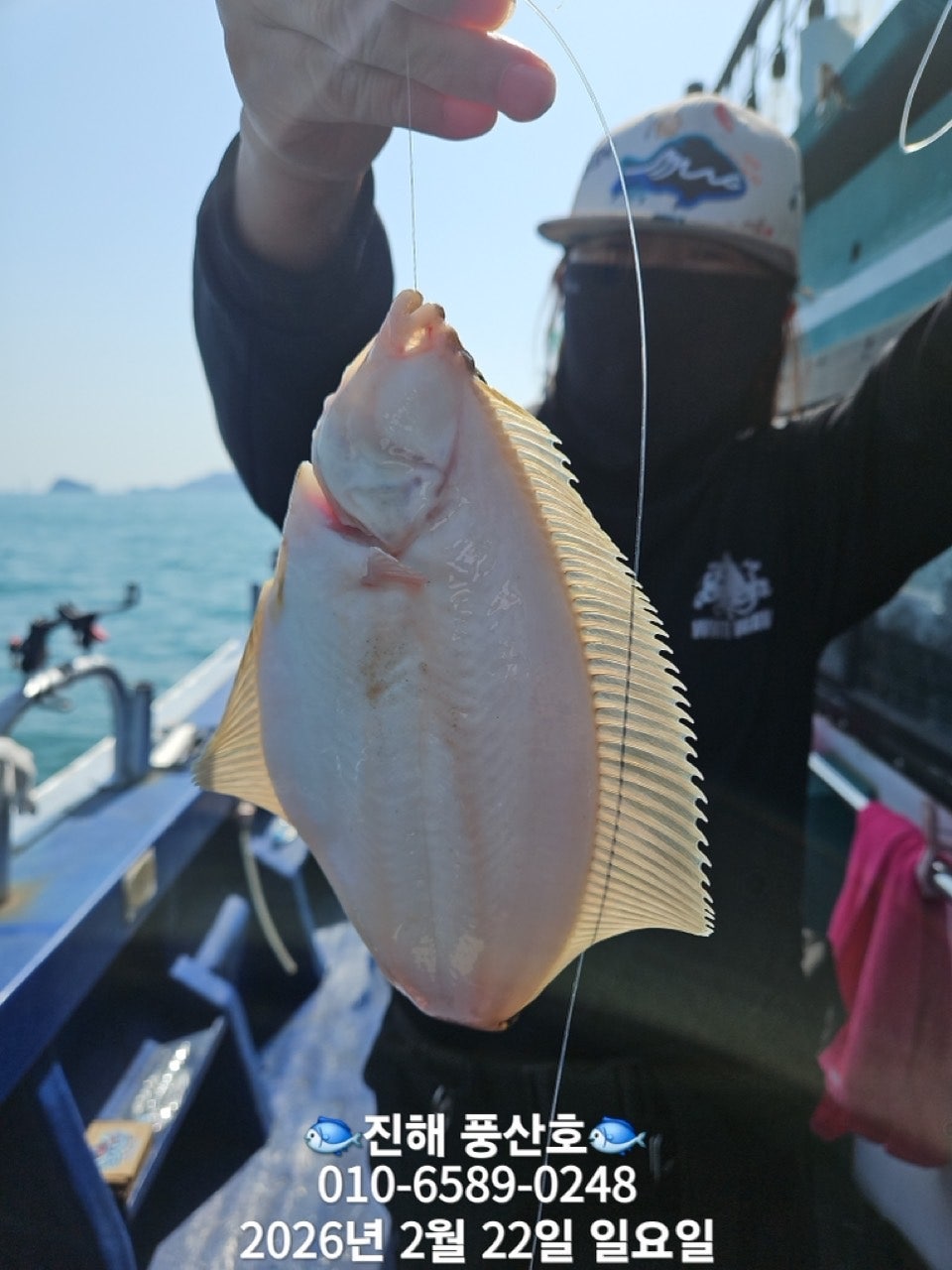 ����ڰ� �ø� �̹���