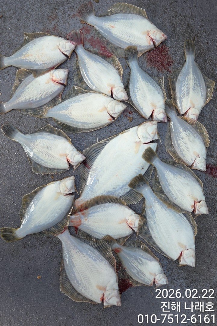 ����ڰ� �ø� �̹���