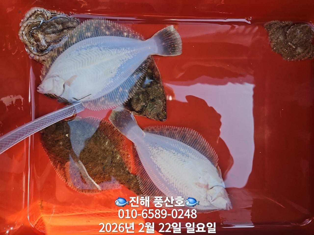 ����ڰ� �ø� �̹���