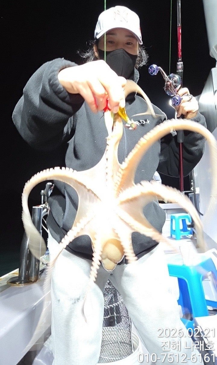 ����ڰ� �ø� �̹���