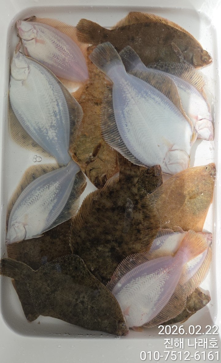 ����ڰ� �ø� �̹���