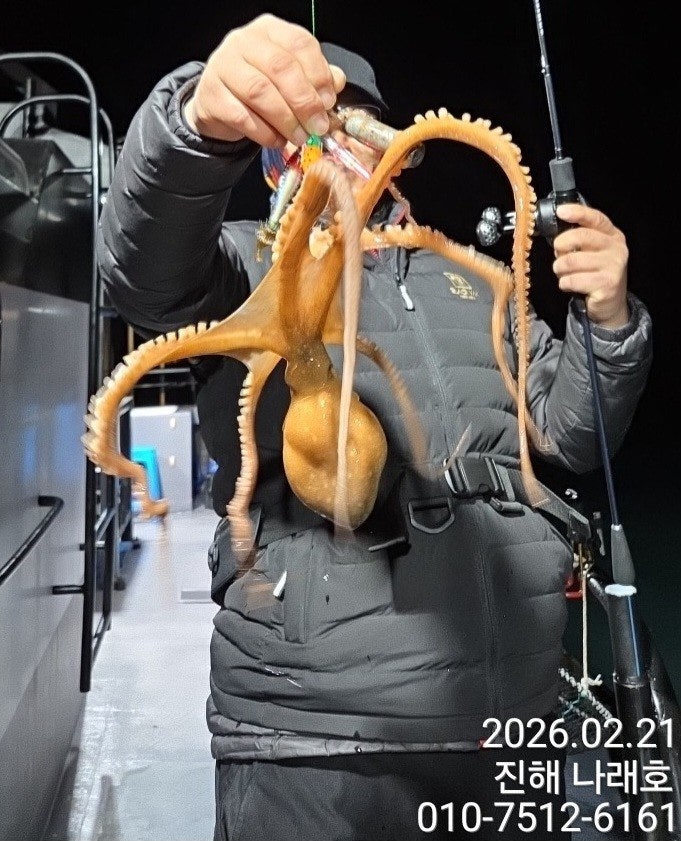 ����ڰ� �ø� �̹���