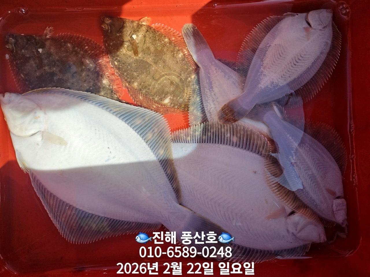 ����ڰ� �ø� �̹���