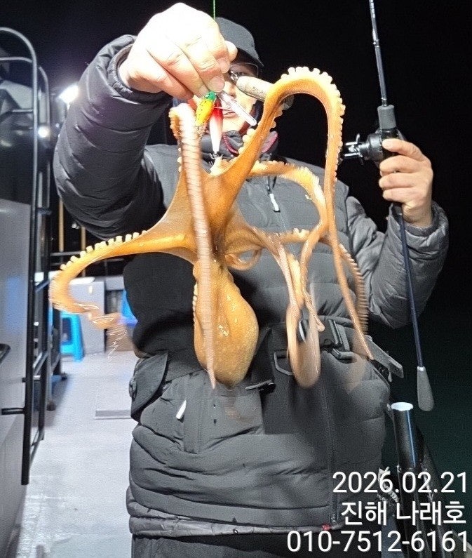 ����ڰ� �ø� �̹���