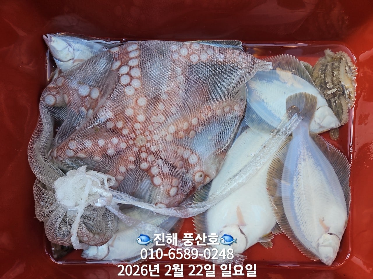 ����ڰ� �ø� �̹���