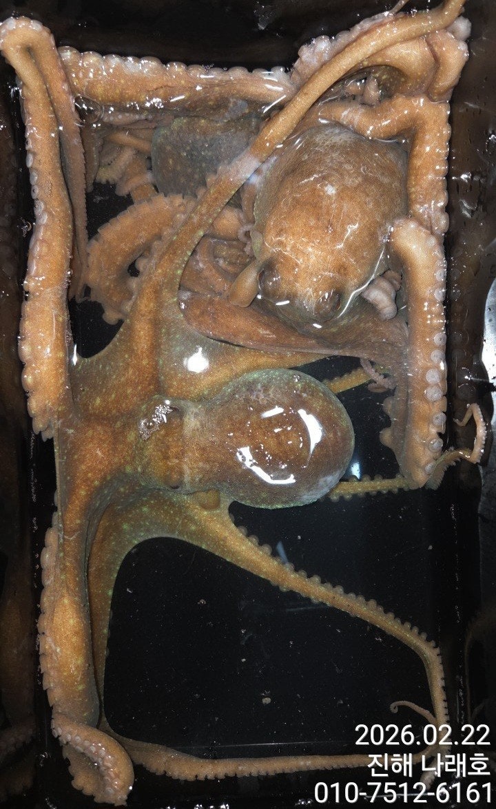 ����ڰ� �ø� �̹���