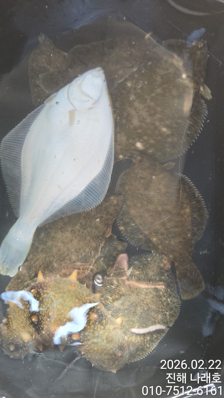 ����ڰ� �ø� �̹���