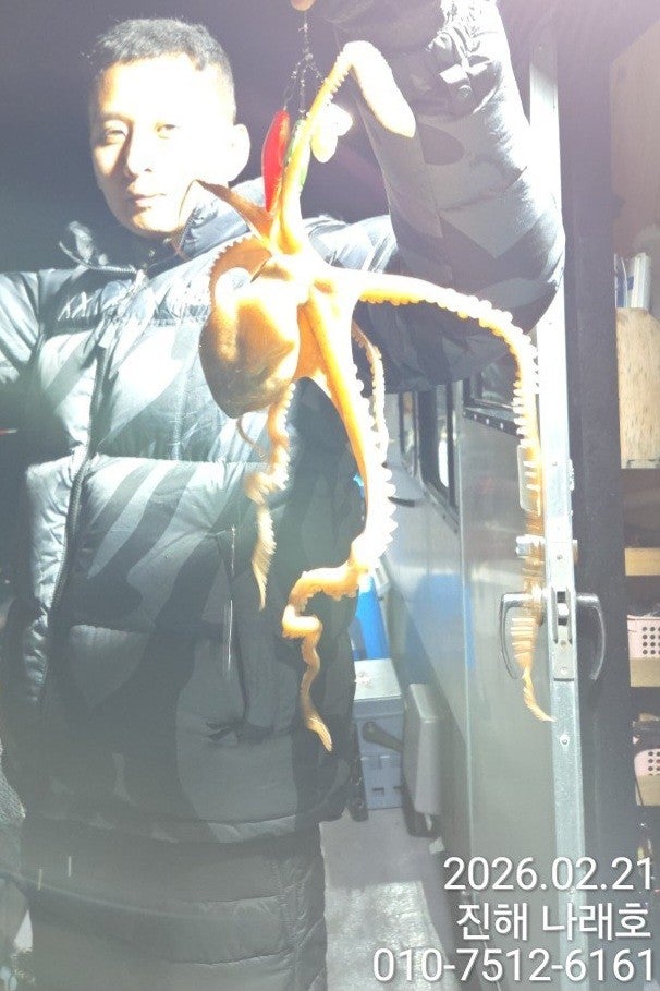 ����ڰ� �ø� �̹���