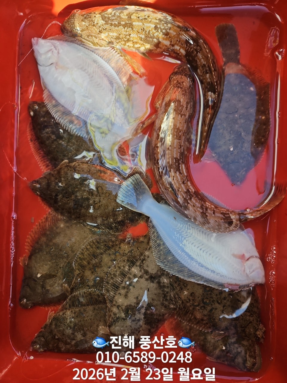 ����ڰ� �ø� �̹���