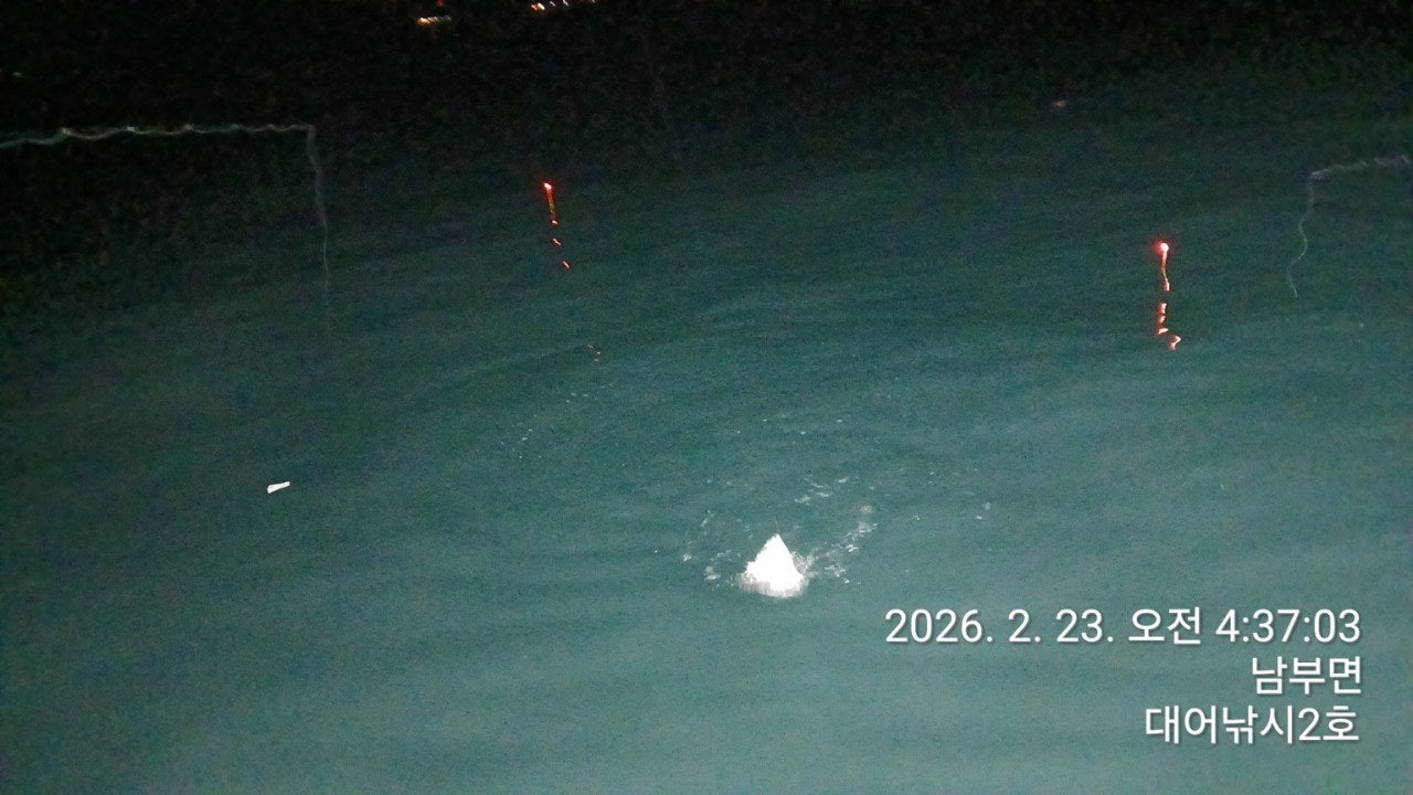 ����ڰ� �ø� �̹���