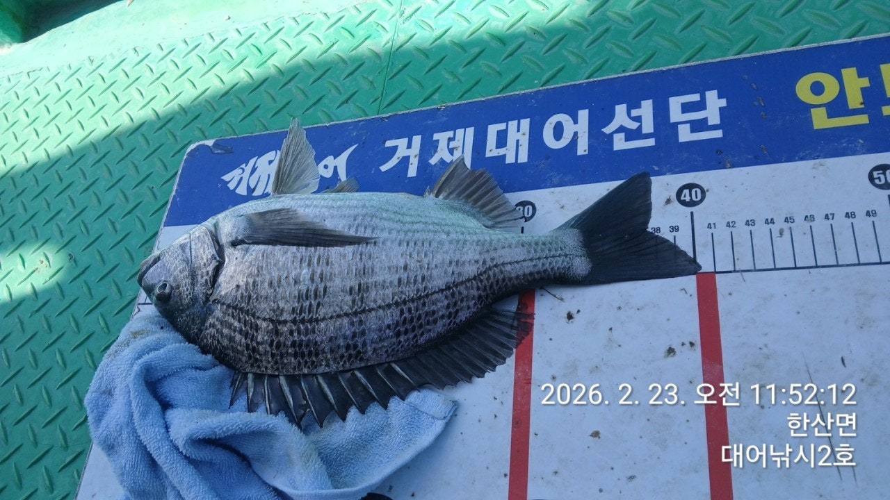 ����ڰ� �ø� �̹���