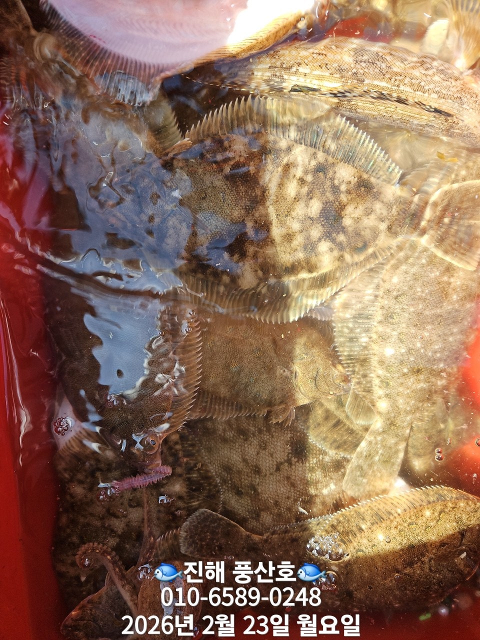 ����ڰ� �ø� �̹���