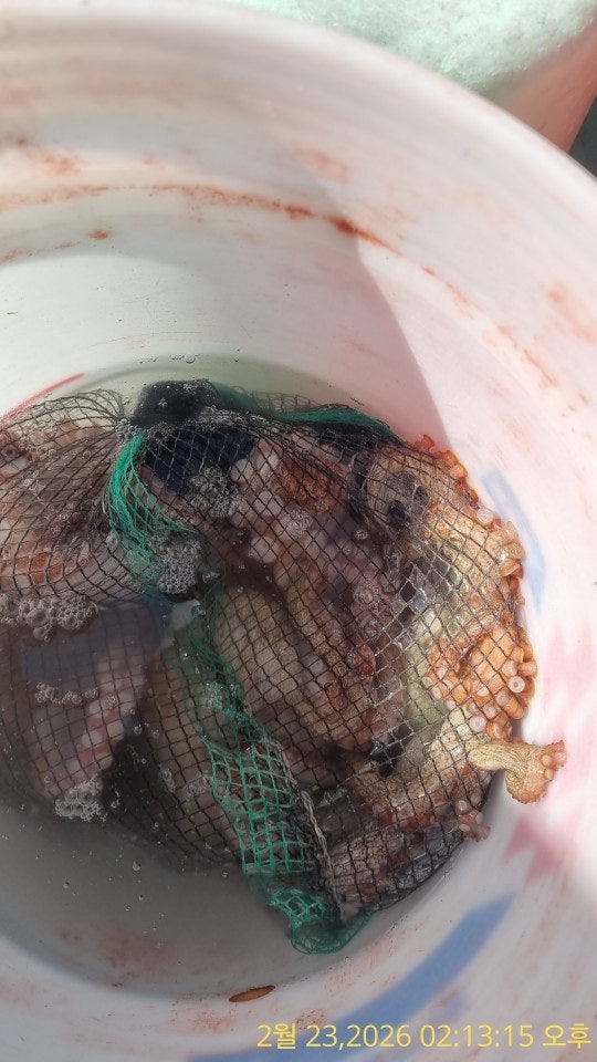 ����ڰ� �ø� �̹���