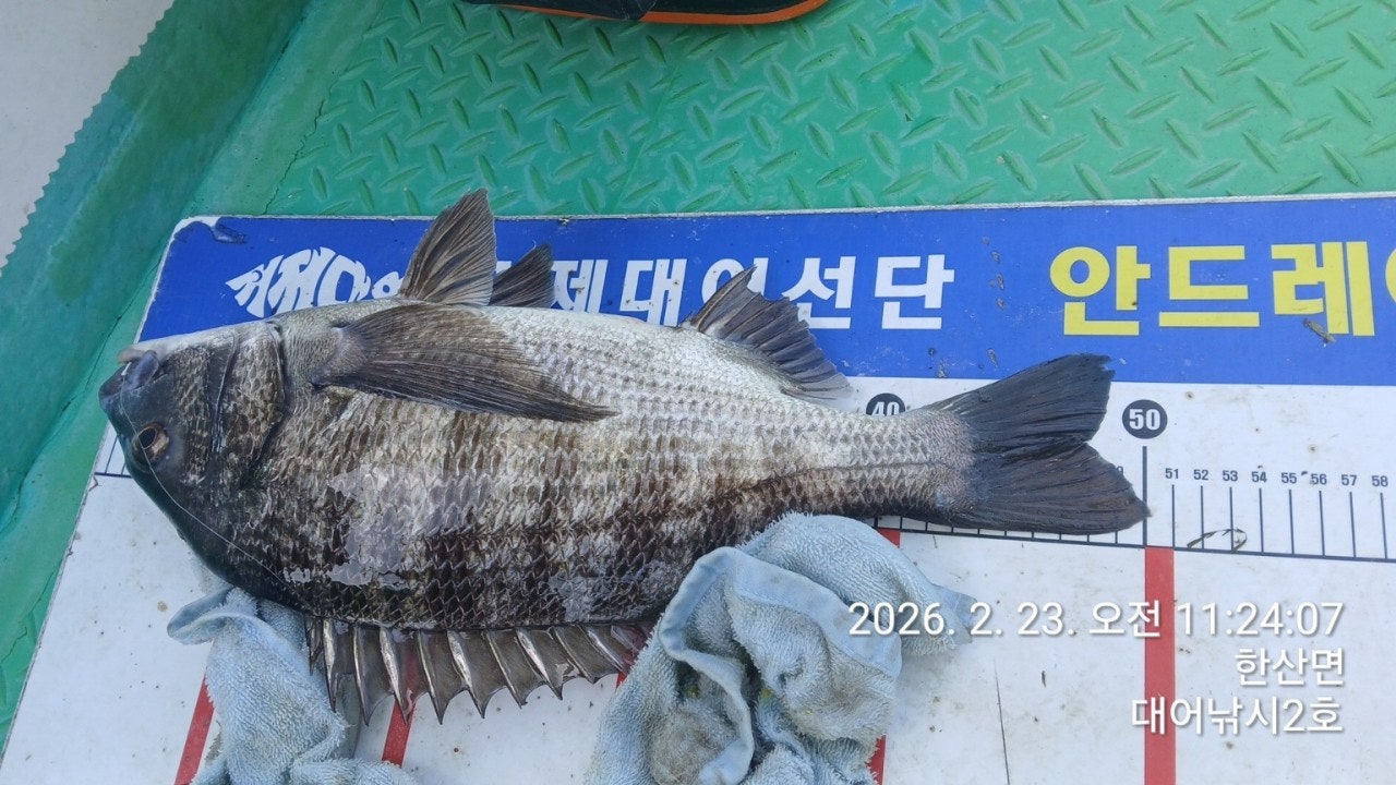 ����ڰ� �ø� �̹���