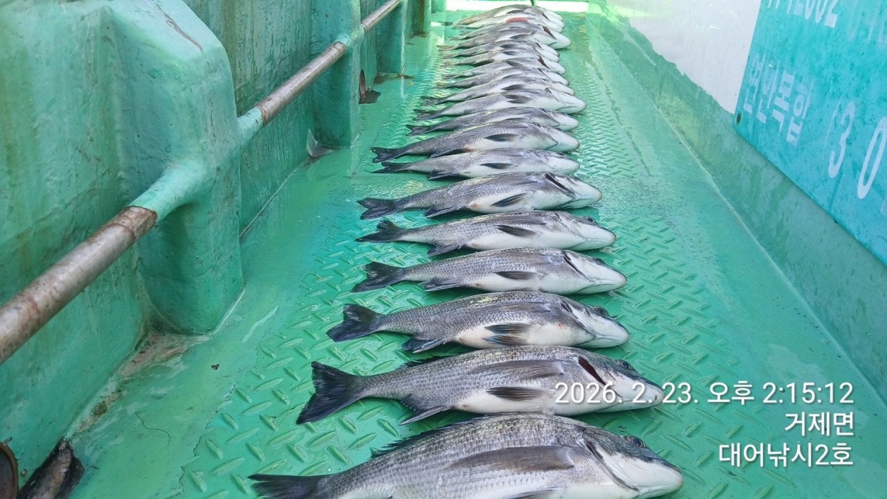 ����ڰ� �ø� �̹���