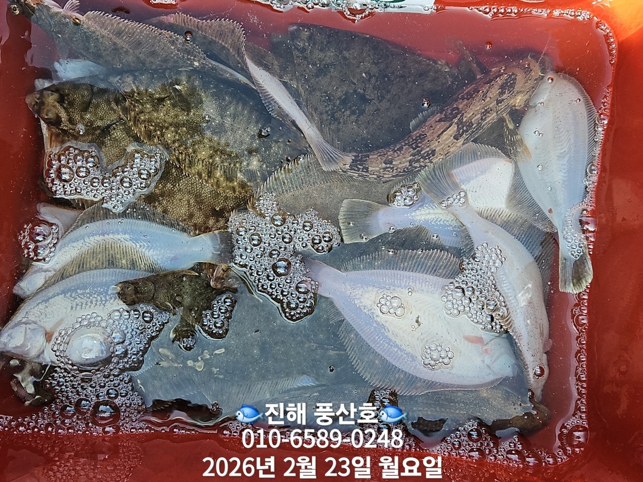 ����ڰ� �ø� �̹���