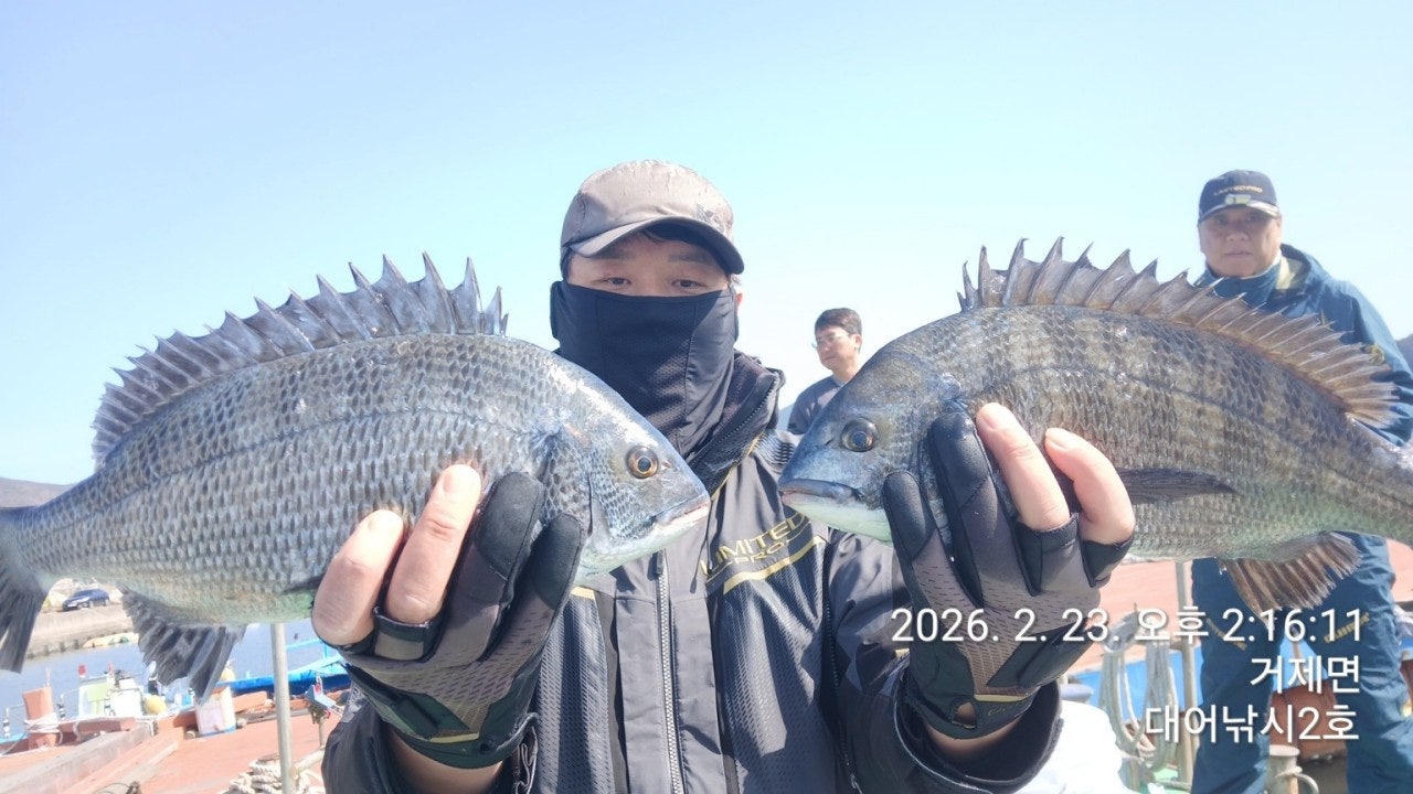 ����ڰ� �ø� �̹���