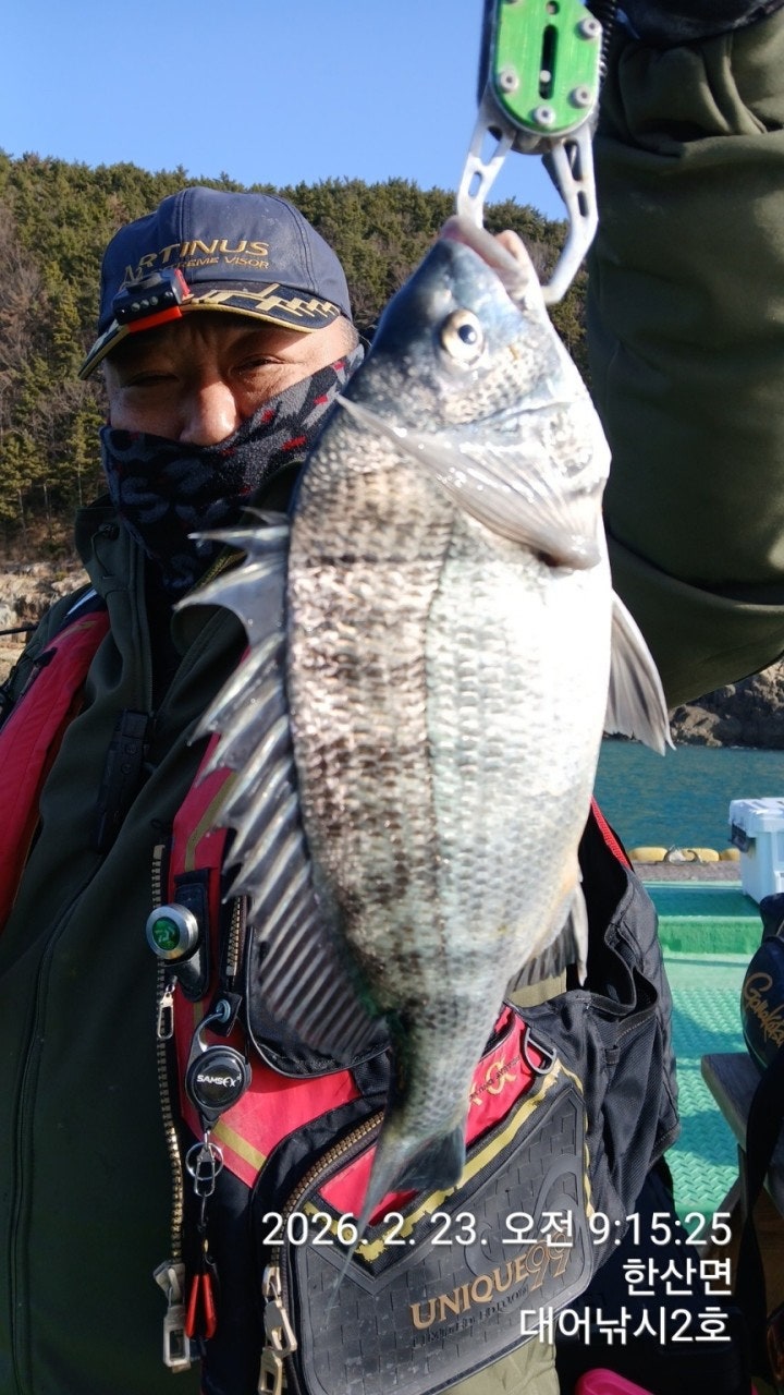 ����ڰ� �ø� �̹���