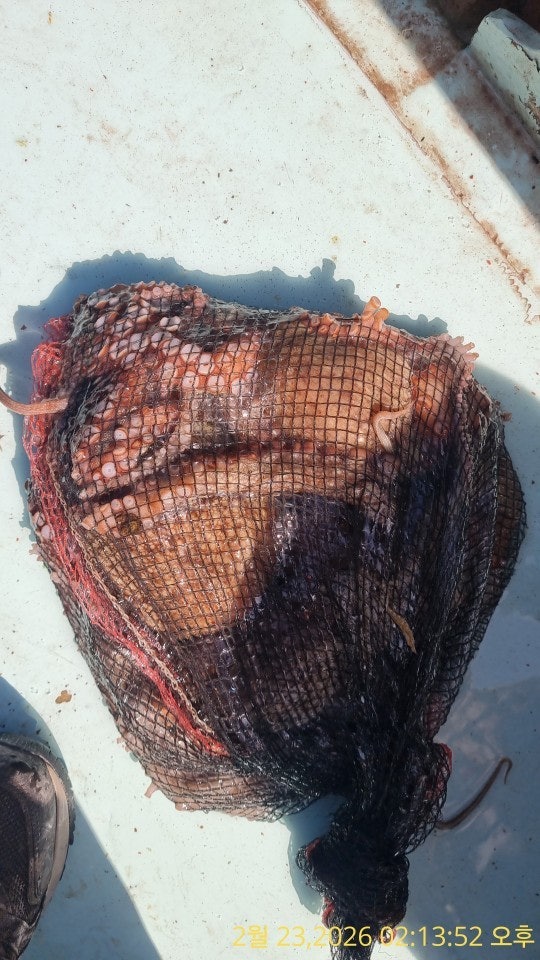 ����ڰ� �ø� �̹���